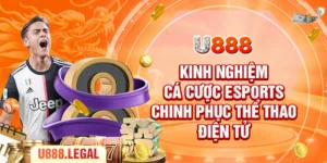 Kinh Nghiệm Cá Cược Esports - Chinh Phục Thể Thao Điện Tử