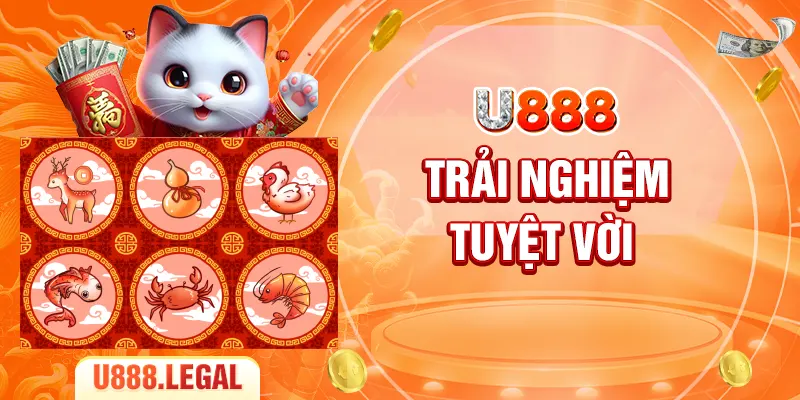 Trải nghiệm tuyệt vời